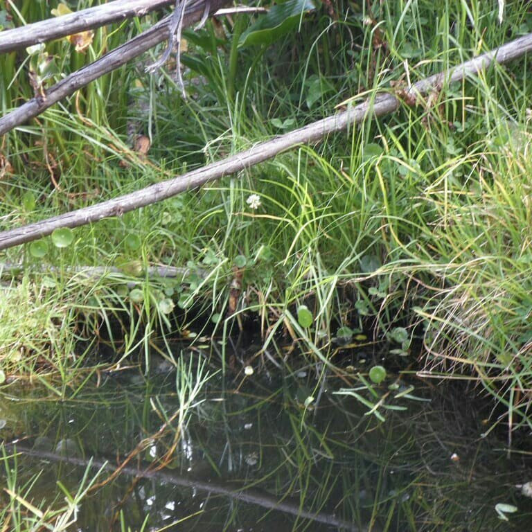 华尔道夫阿斯多利亚度假酒店主图