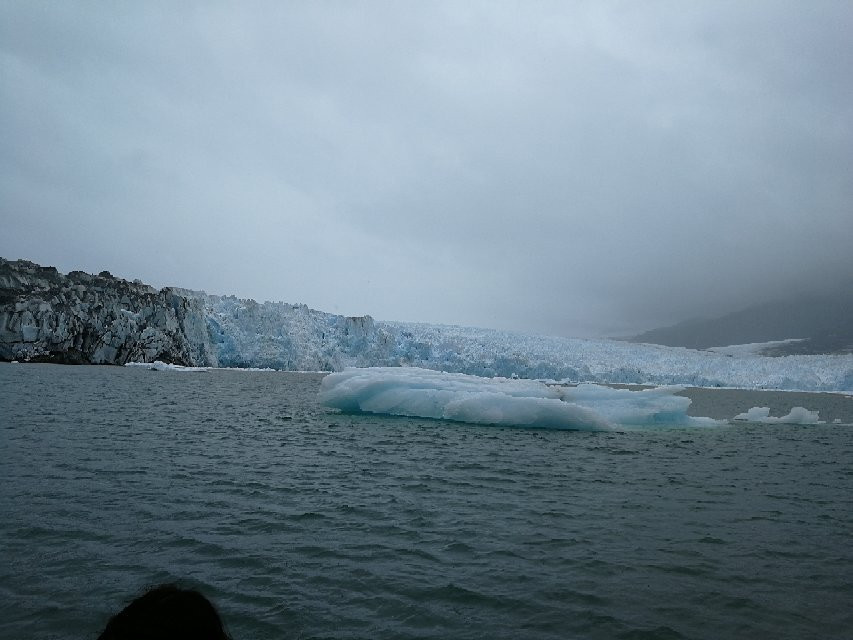 Glacier Jorge Montt景点图片