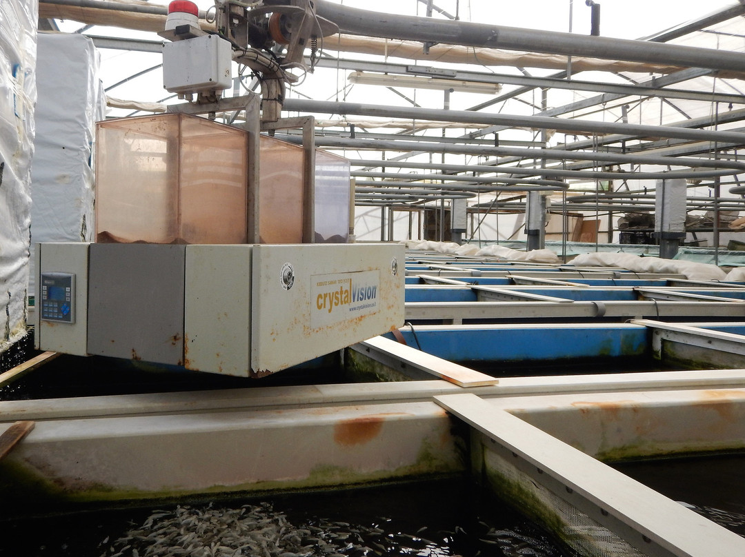 Sea-gal advanced aguaculture-Idan必去景点