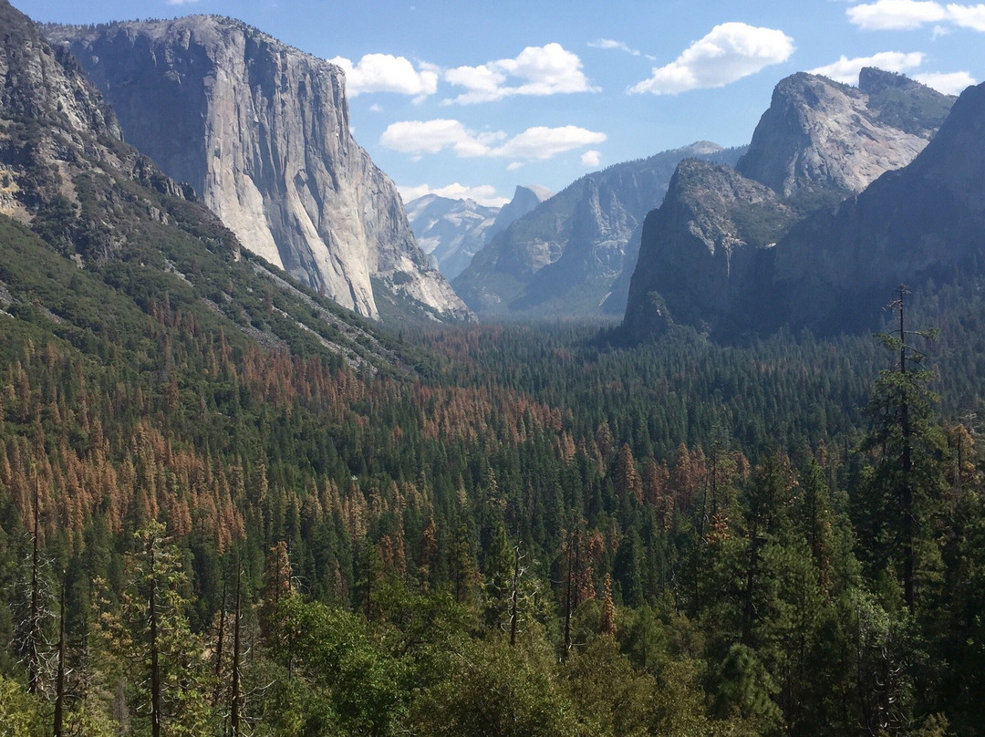 El Capitan景点图片