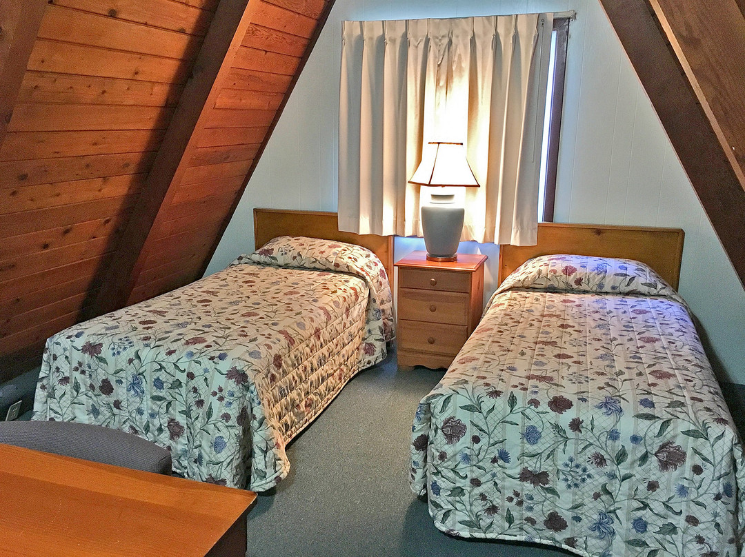 Park Motel and Cabins主图