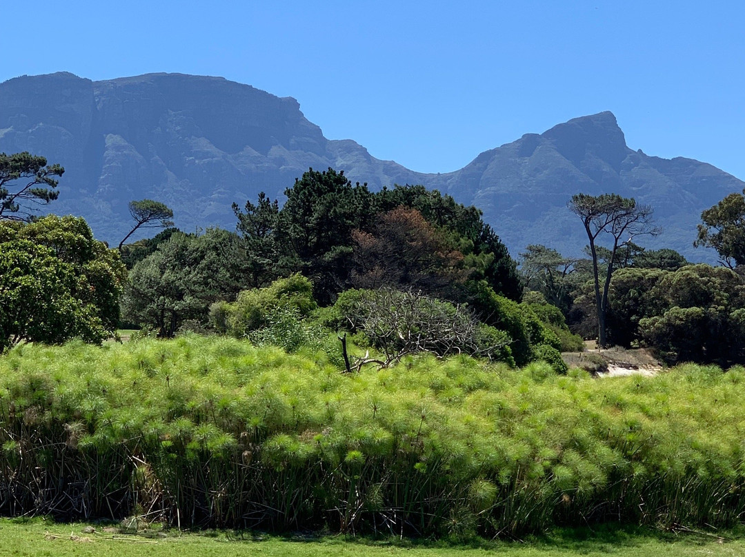 Royal Cape Golf Club-Wynberg必去景点