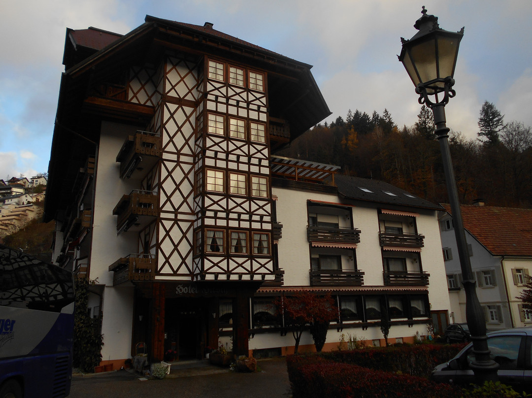 Hotel Hirsch主图