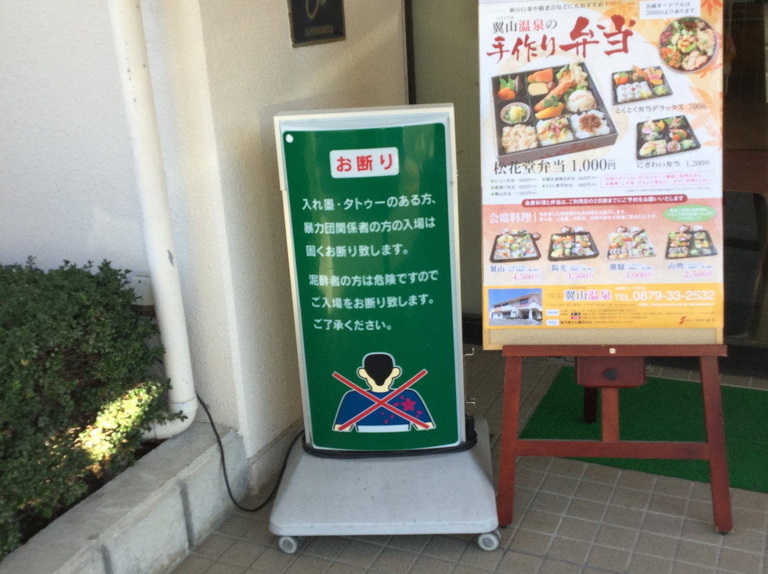 Tsubasayama Onsen主图