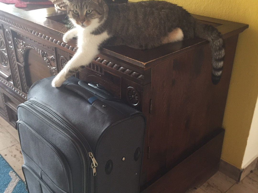 Hotel Restaurant Poellmann主图