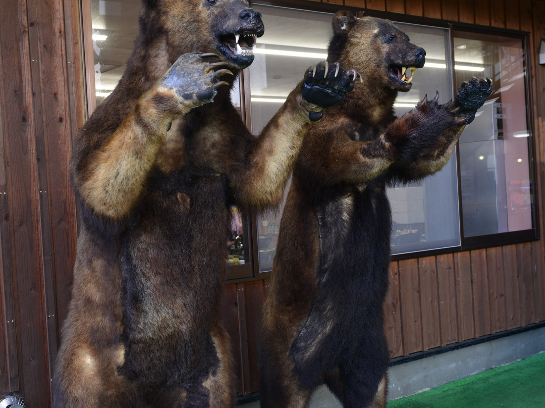 友谊熊-七饭町必去景点