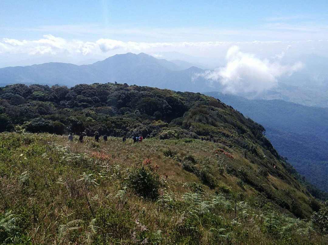 Chiangmai Good Service Tours-雷沙革必去景点