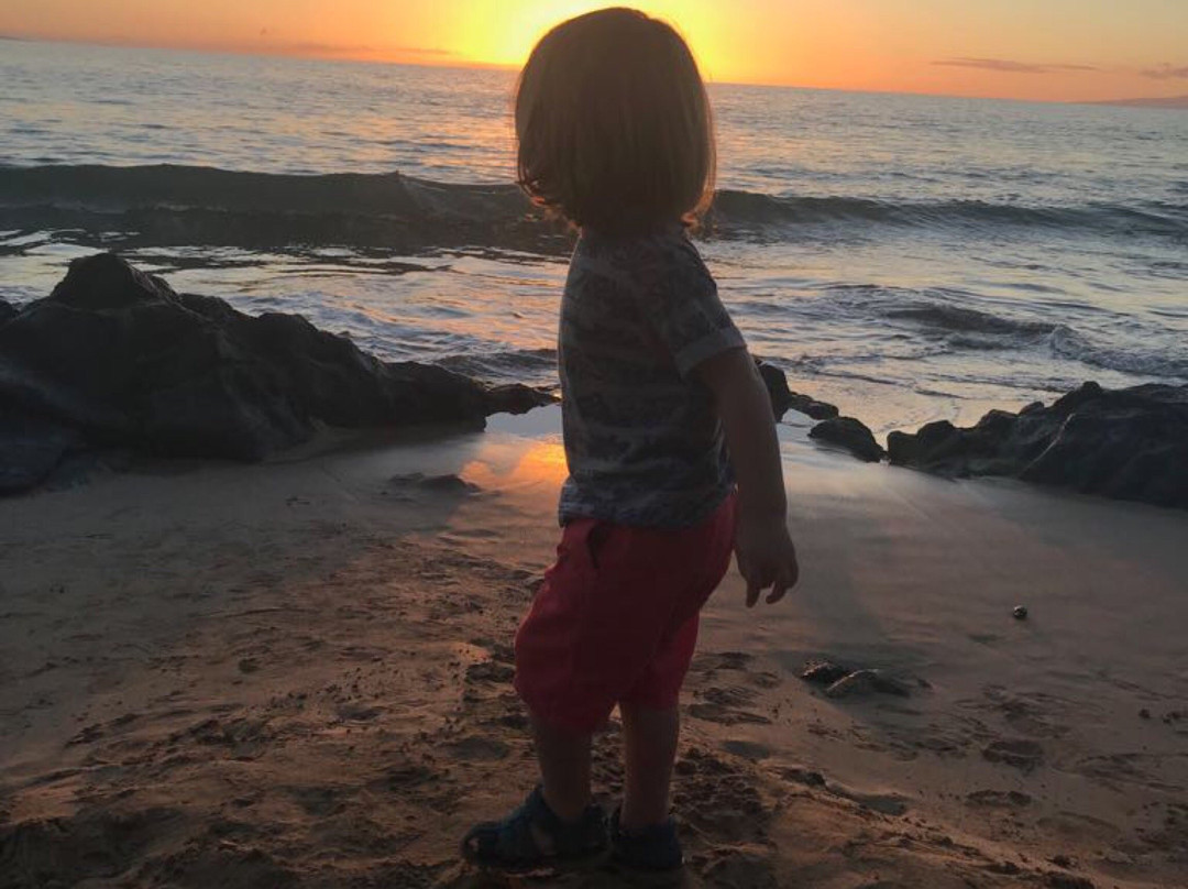 Cove Park-基黑必去景点