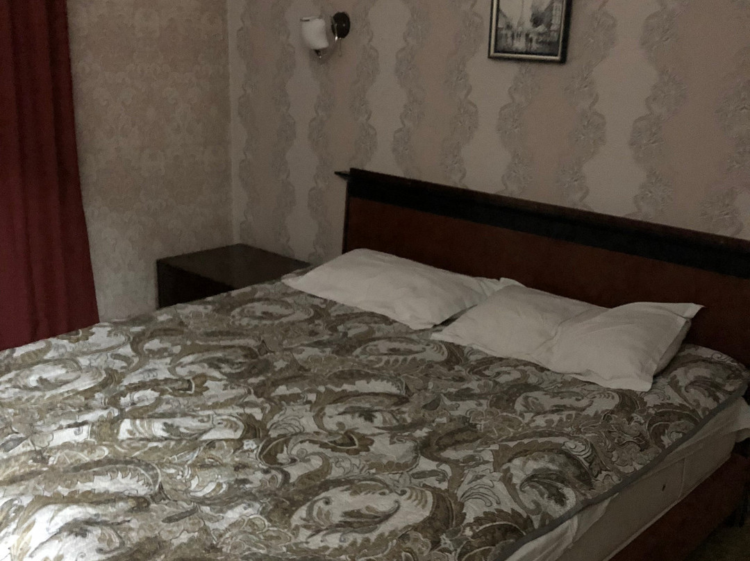 Hotel Almaty Transit主图