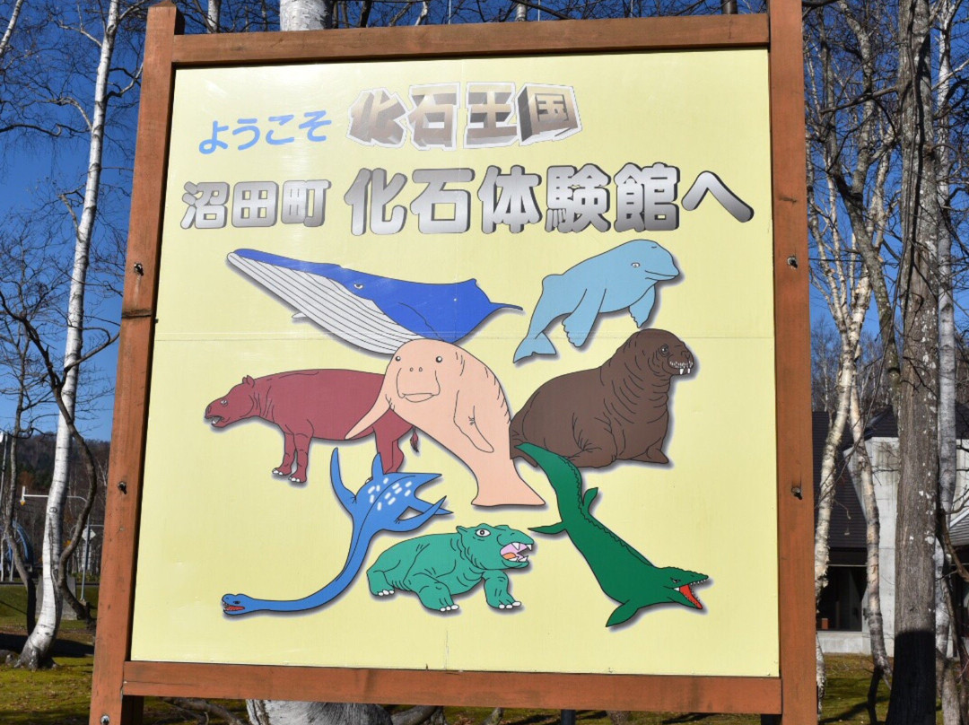 Kaseki Taikenkan-沼田町必去景点