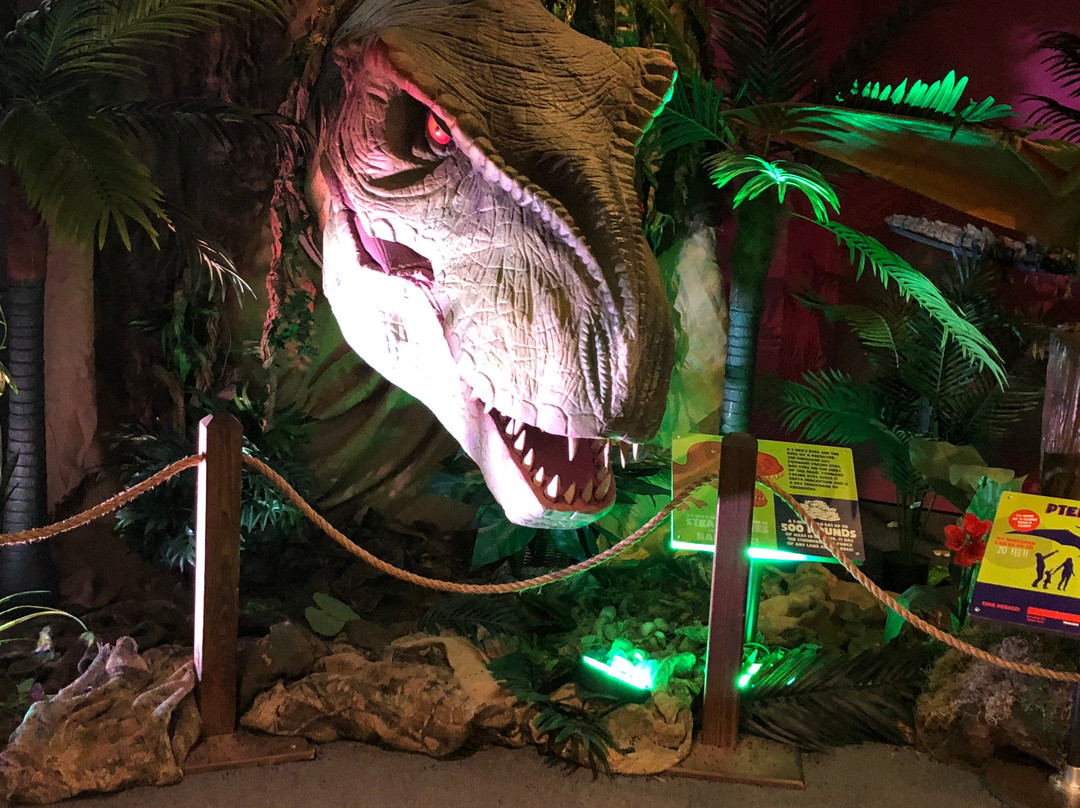 Children's Museum of Evansville-埃文斯维尔必去景点