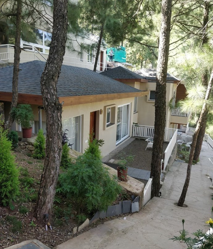 丛林小屋主图