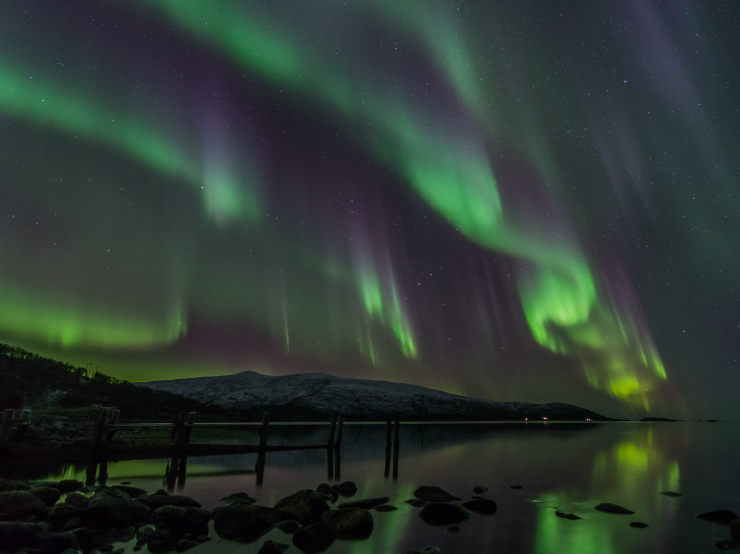 Northern Lights Safari景点图片