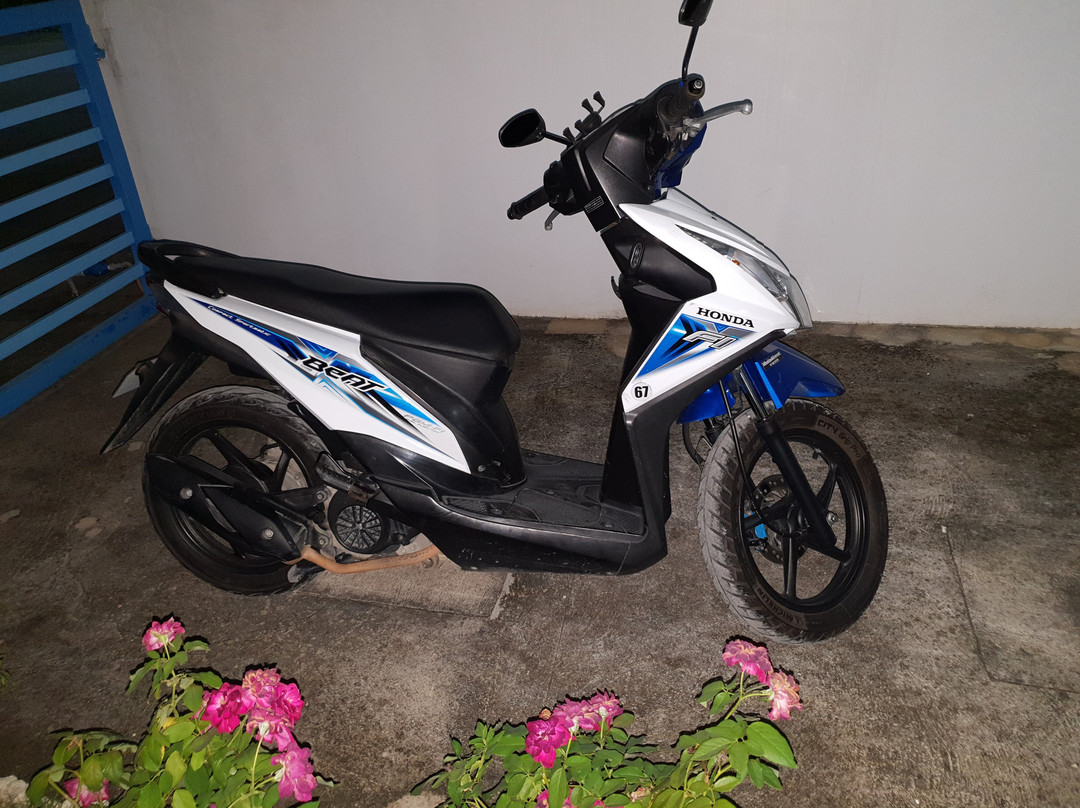 Mike's Bohol Island Motorcycle Rentals景点图片