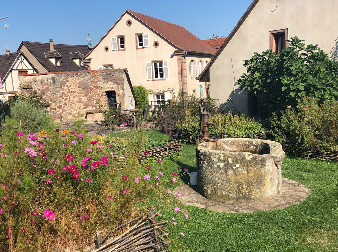 Jardin medieval景点图片