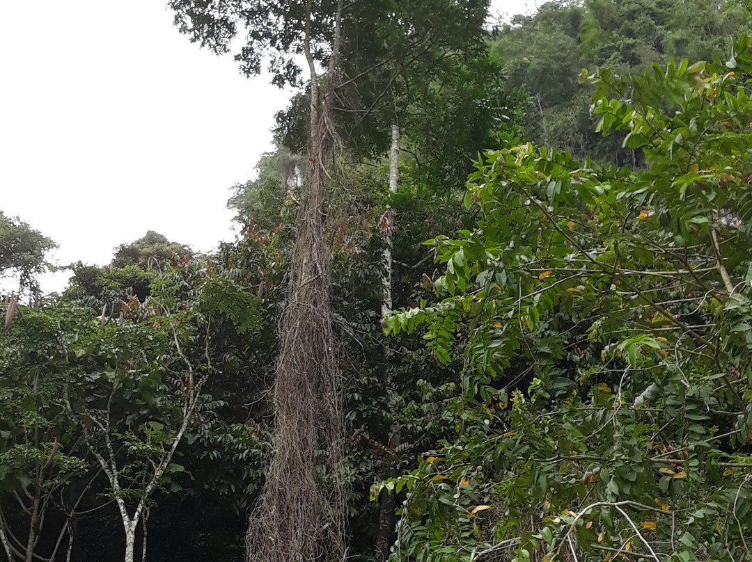 Khao Nan National Park景点图片