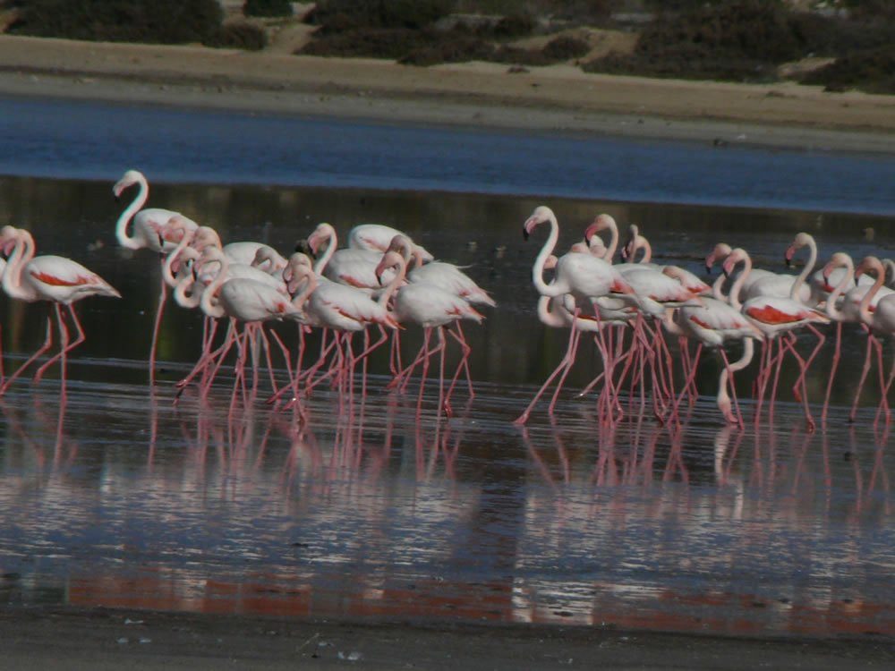 Cyprus Walks Etc-尼科西亚必去景点