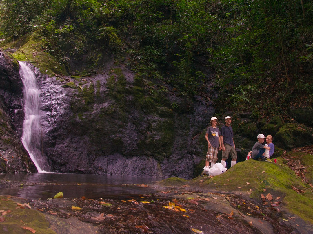 Taliwas in Danum Valley-拉哈达图必去景点
