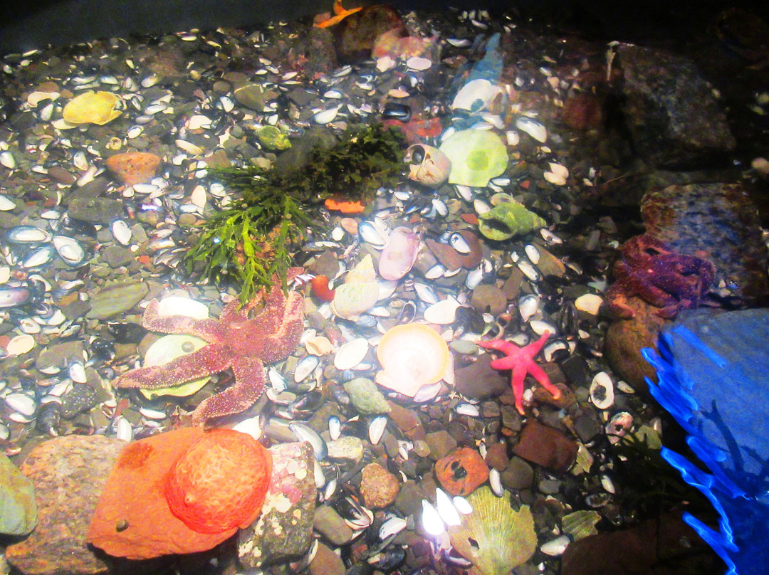 Station Exploratoire du Saint-Laurent (St. Lawrence Exploration Centre)-Riviere du Loup必去景点