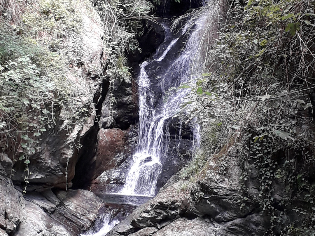 Rialto旅游攻略图片