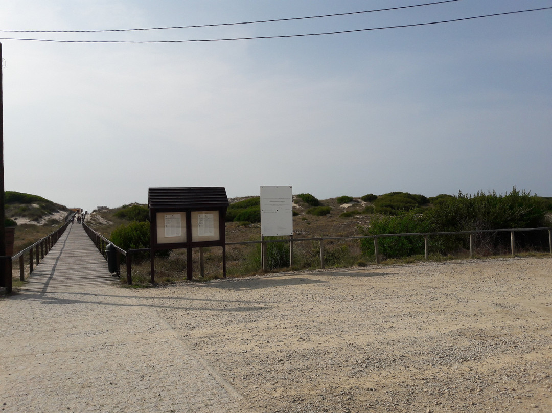 Praia de Sao Jacinto景点图片