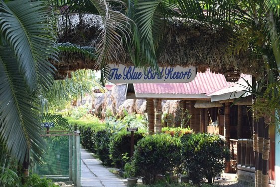 Blue Bird Resort