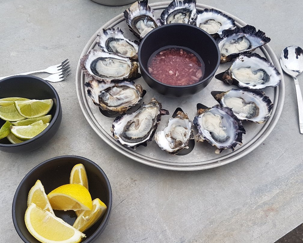 Oyster Bay Tours-科尔斯湾必去景点