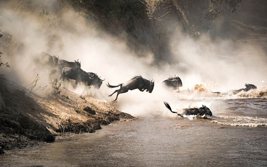Chui Tanzania Tours & Safaris景点图片
