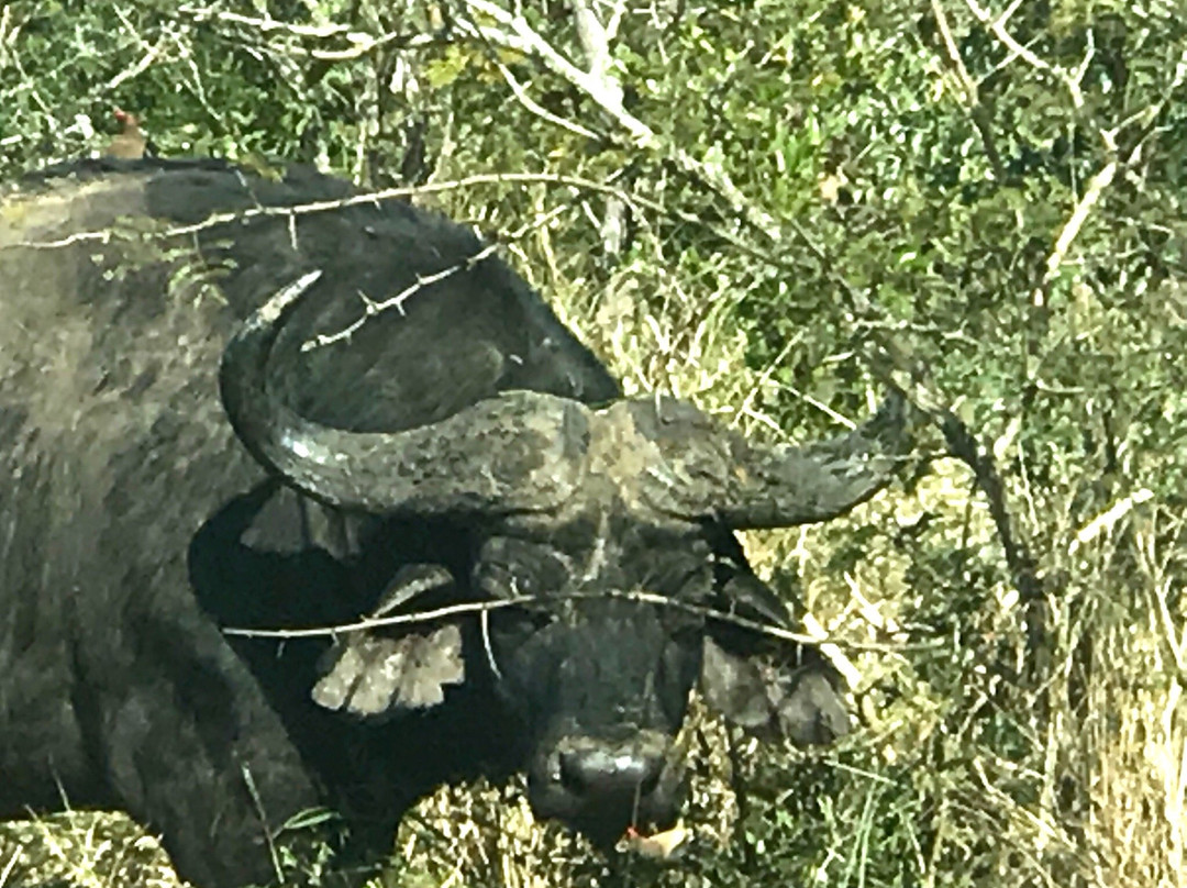 Aloe View Rock Lodge主图