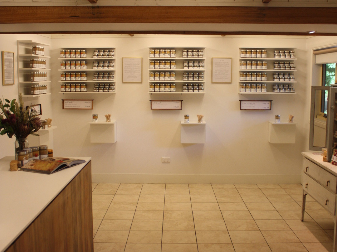 Twelve Acre Wood-Claude Road必去景点