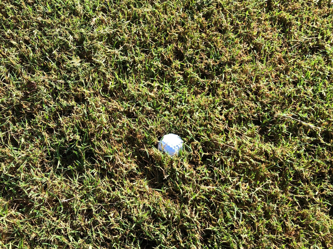 Timacuan Golf Club-玛丽湖必去景点