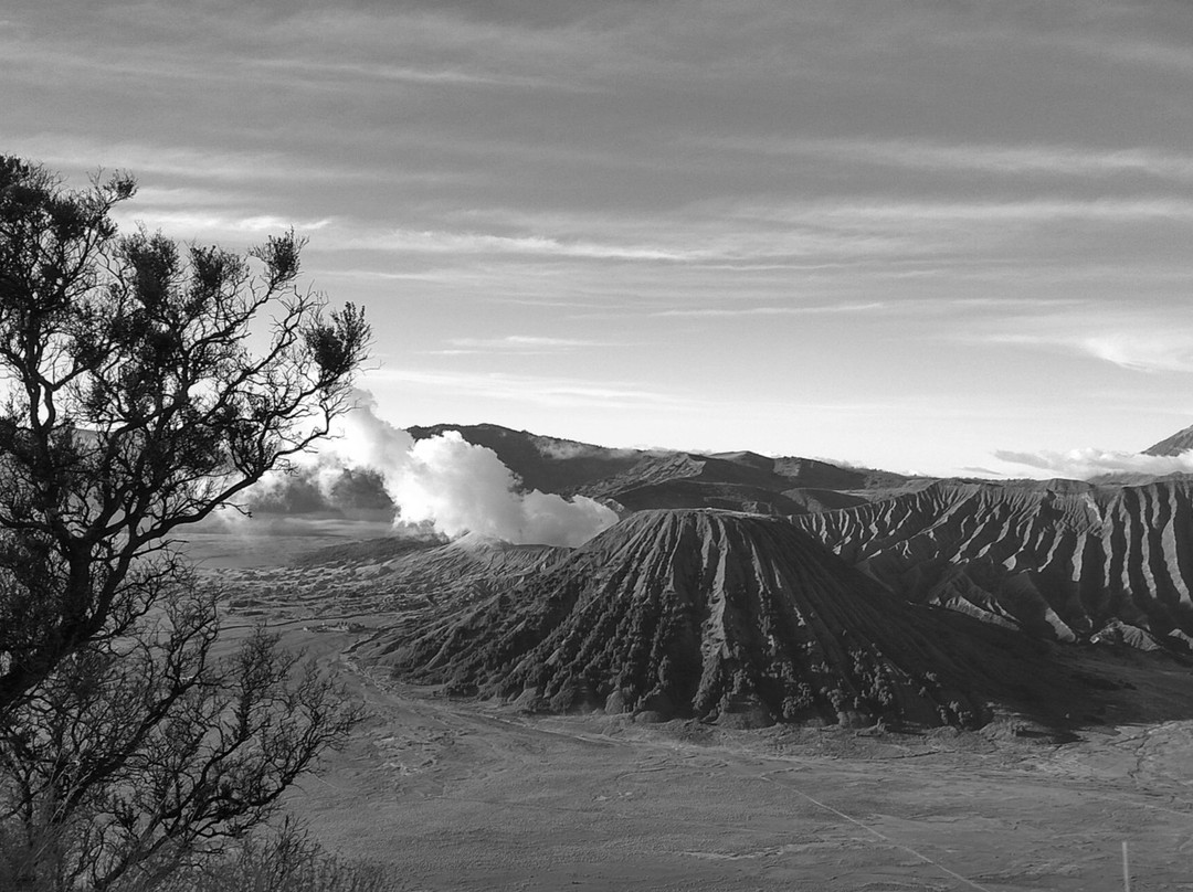 Bromo Authentic Tours景点图片