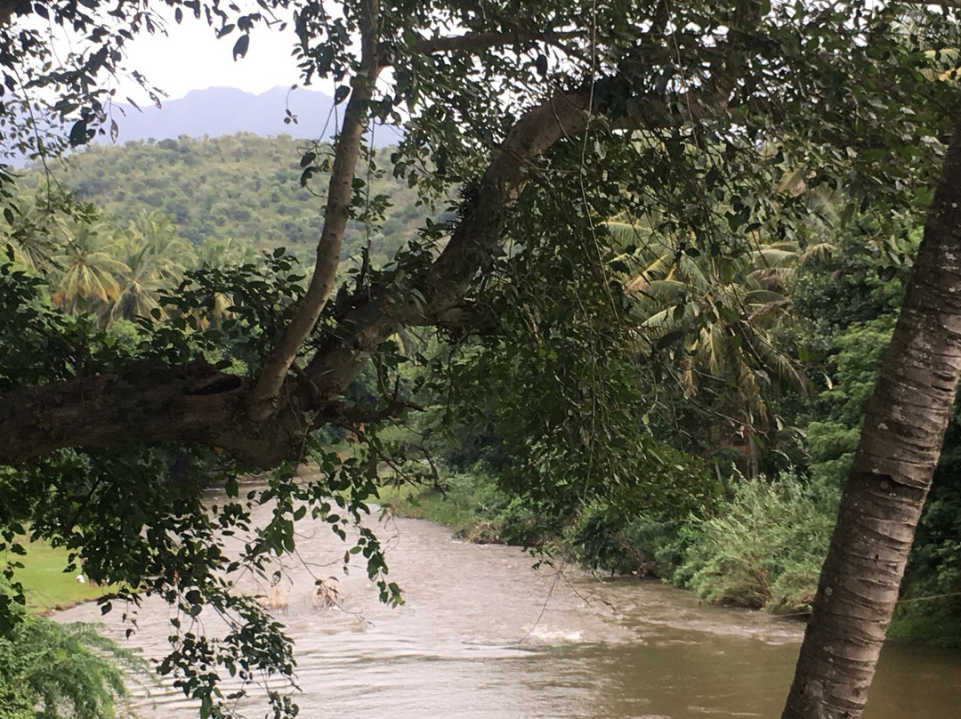 Attapadi Reserve Forest-Palakkad必去景点