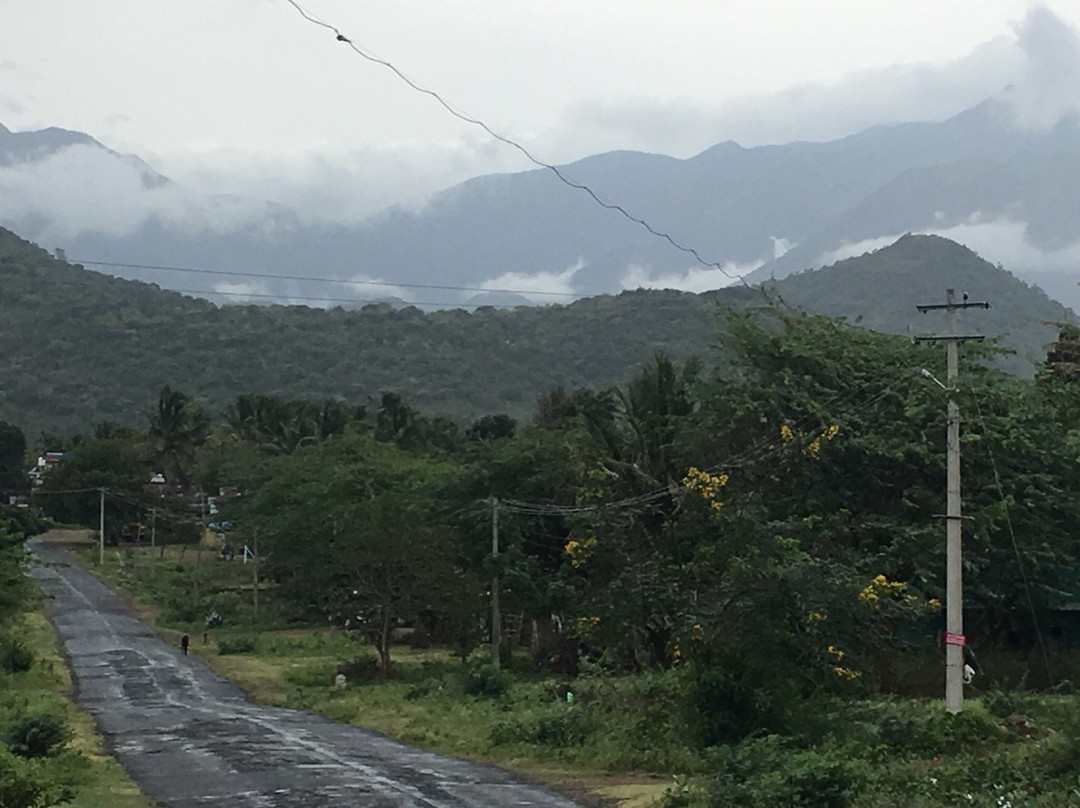Attapadi Reserve Forest-Palakkad必去景点