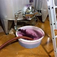 Domaine Saint Georges Les Cardinelles-Nissan-lez-Enserune必去景点