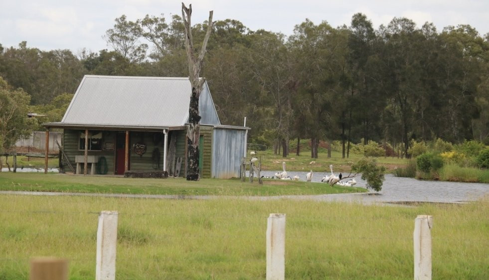 Osprey Environmental Centre Brisbane景点图片