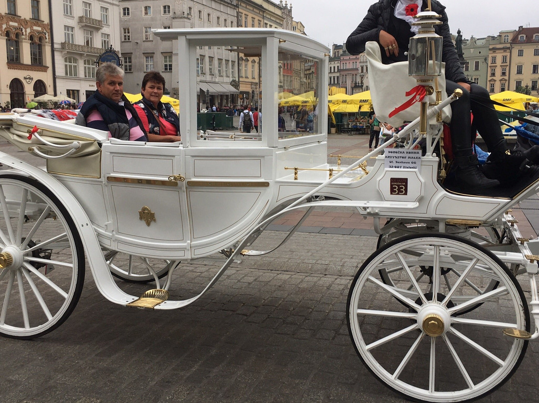 Inari VIP Shuttle-克拉科夫必去景点