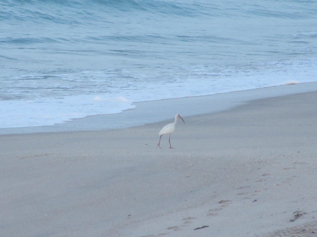 Barrier Island Center景点图片