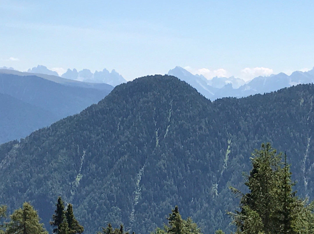 Selva dei Molini餐馆和美食-Weizgruber Alm