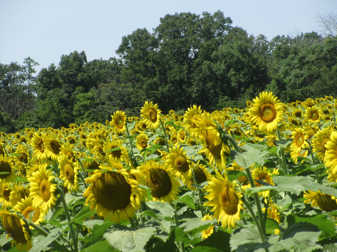 McKee-Beshers Wildlife Management Area-Poolesville必去景点