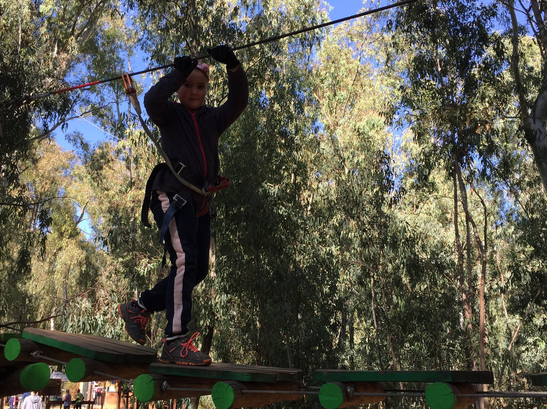 Acrobranch Centurion-三图里恩必去景点