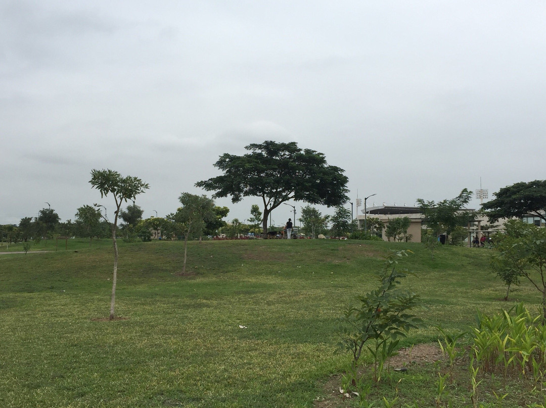 Parque Samanes景点图片