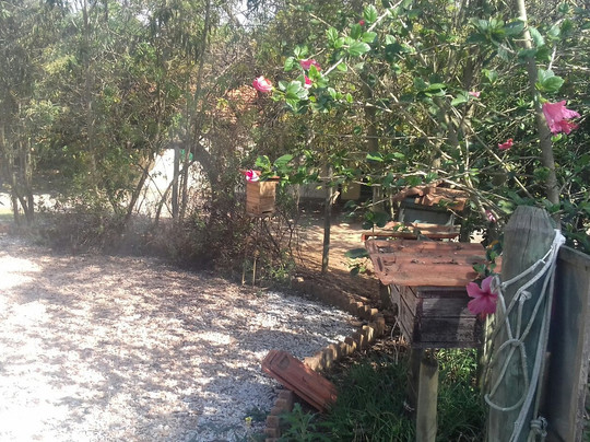 Apiario Nona Emilia-伊图佩瓦必去景点