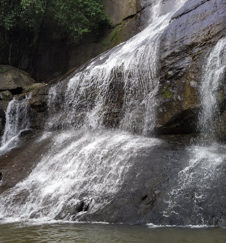 Areekkal Water Falls景点图片