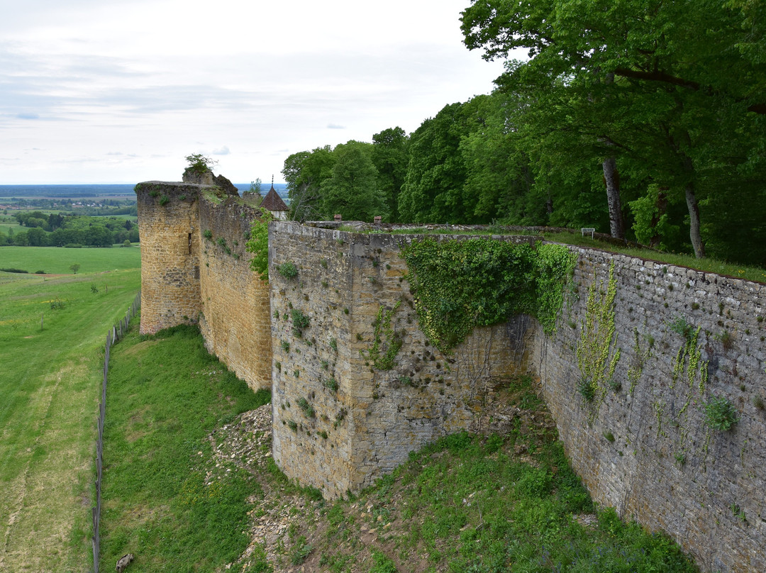 Château d'Arlay景点图片