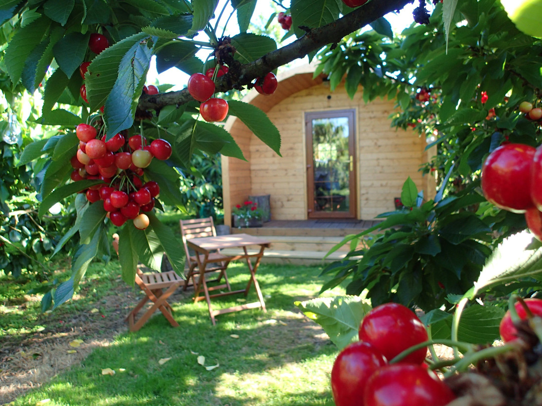 Orchard Pods