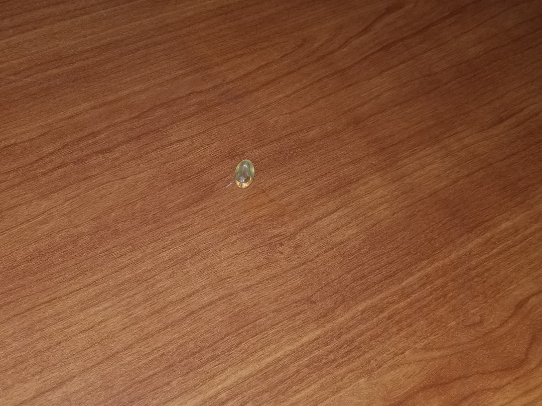 Super 8 by Wyndham Waverly主图