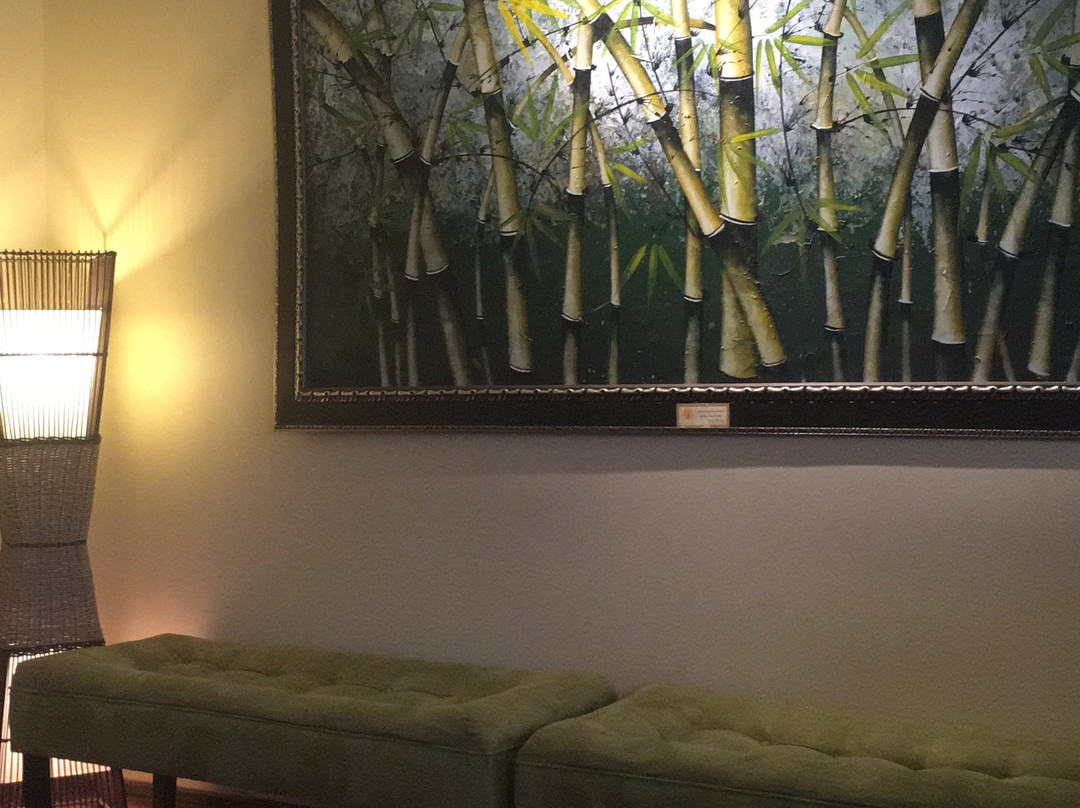 Shadhar Spa-圣地亚哥必去景点