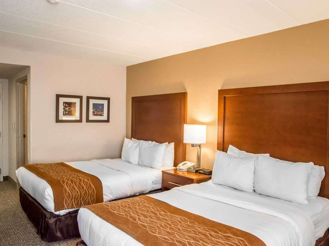 Comfort Inn Northeast主图