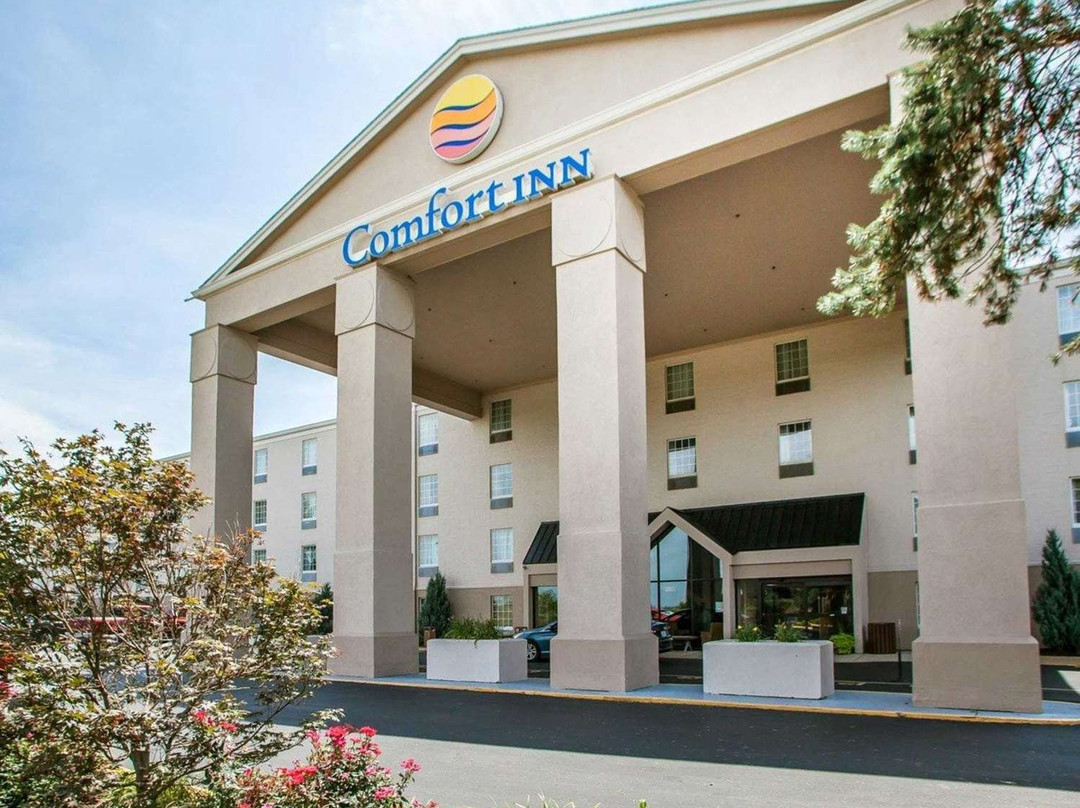 Comfort Inn St Louis - Westport主图